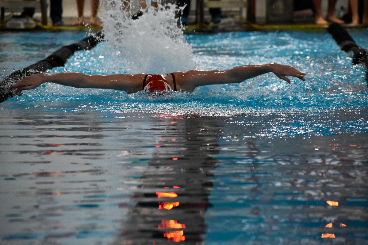 Ally Ihler tweet media