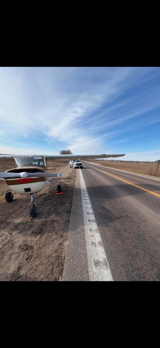 McKenzie Johnson tweet media