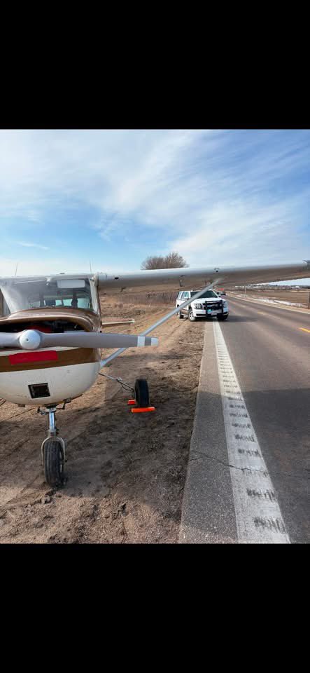 McKenzie Johnson tweet media