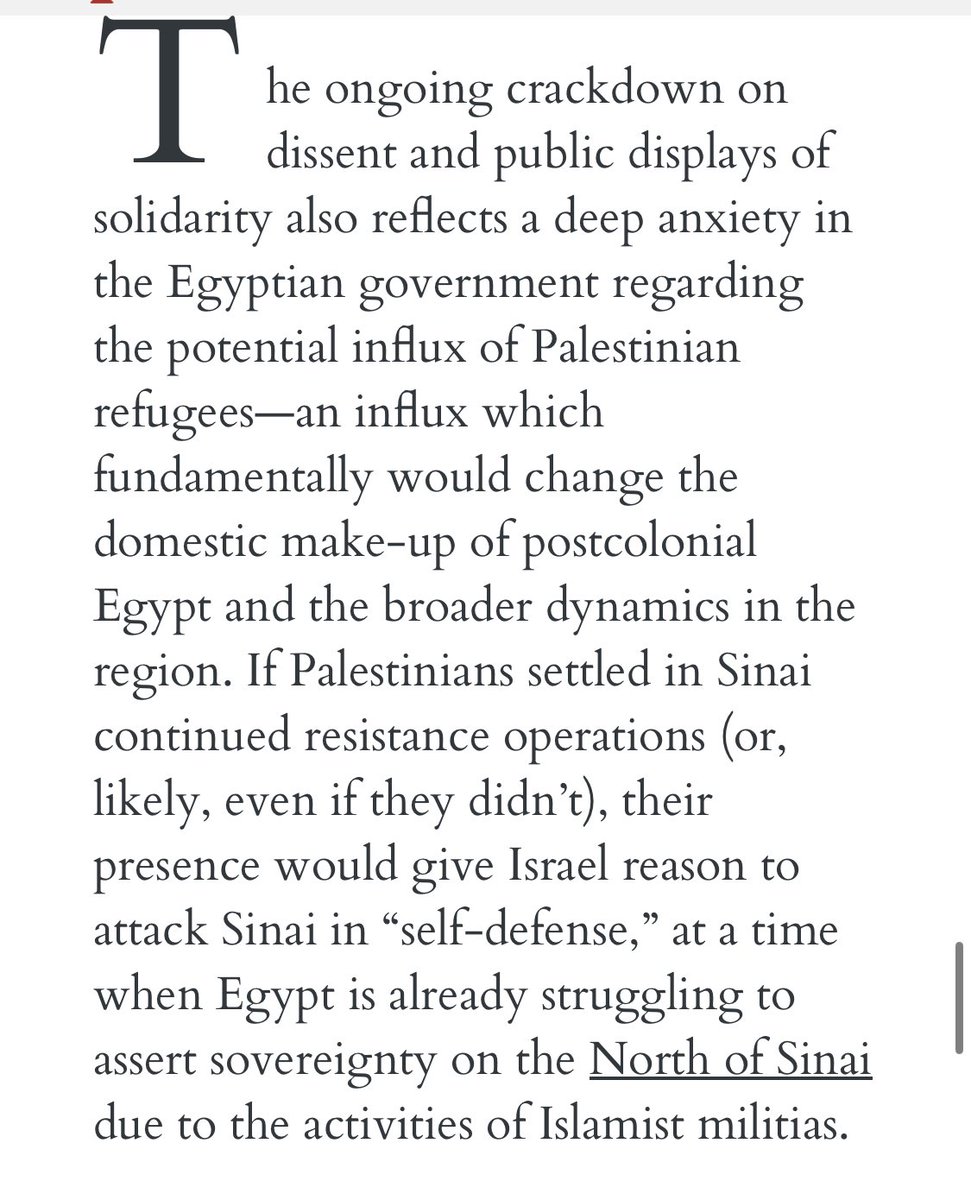 Nihal | نهال tweet media