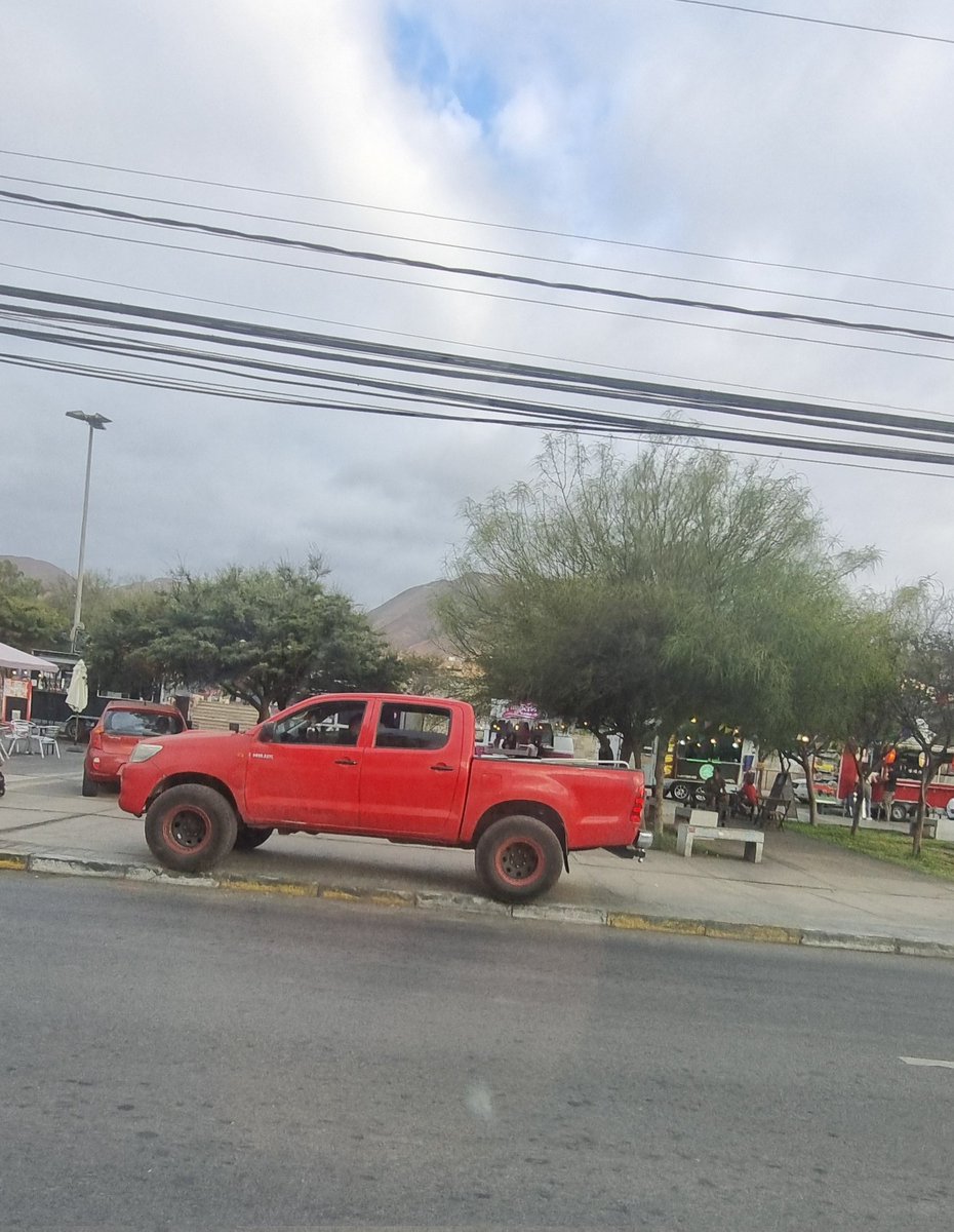 mabelblub54674's tweet photo. Na que decir, las imagenes hablan por solas, cada dia #Antofagasta se convierte en selva, y ni decir la delincuencia. https://t.co/rRgpxtlm21