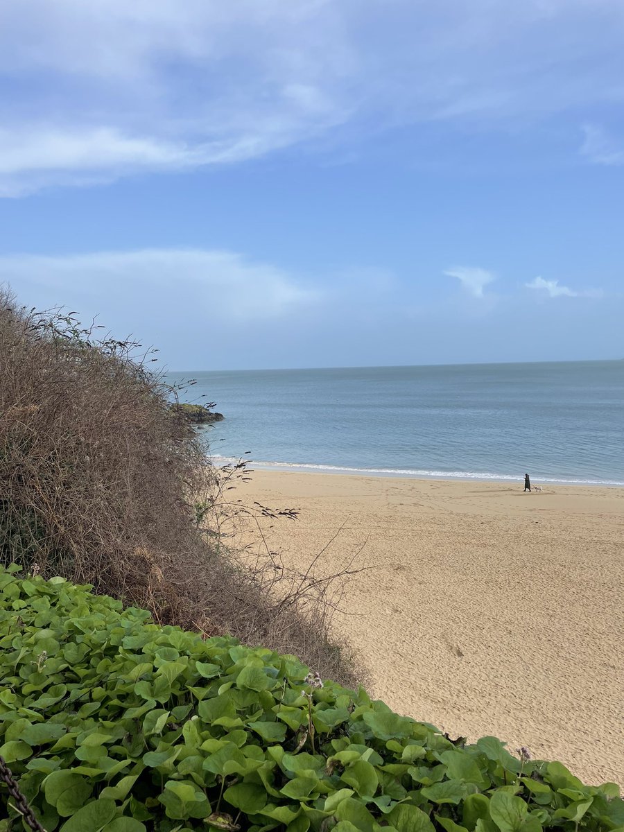 Clare Roddis tweet media