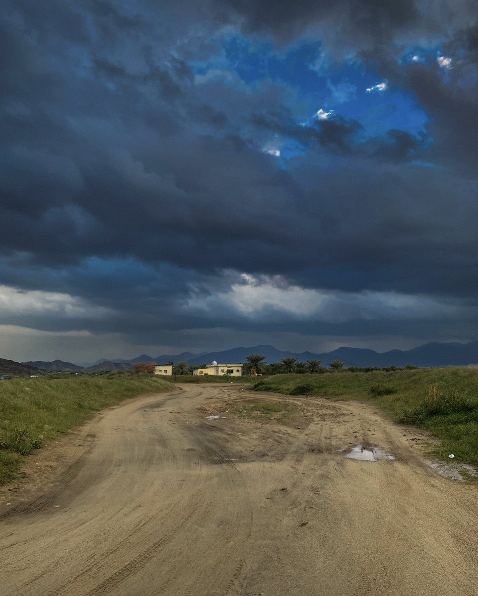 منار tweet media