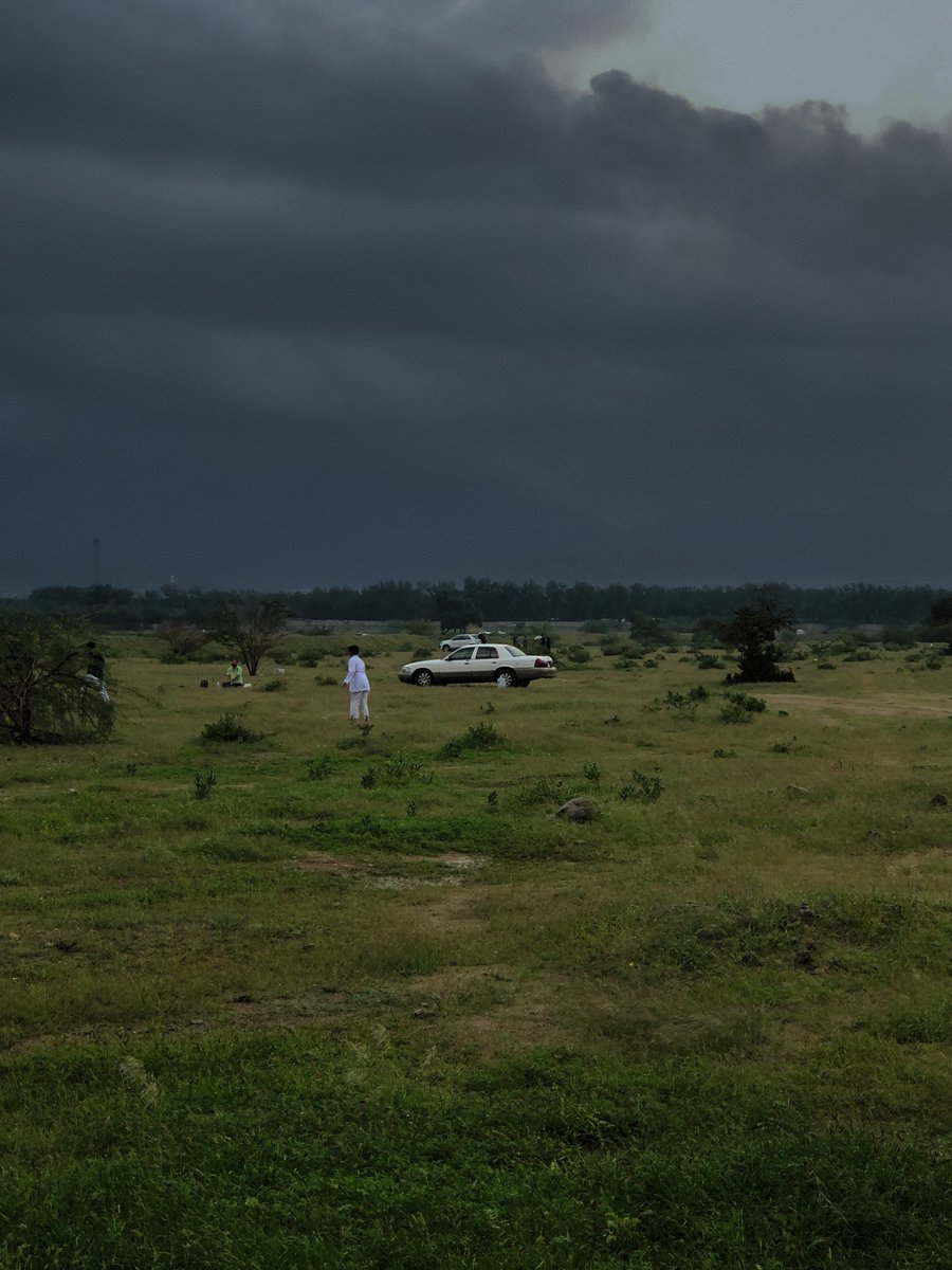 منار tweet media