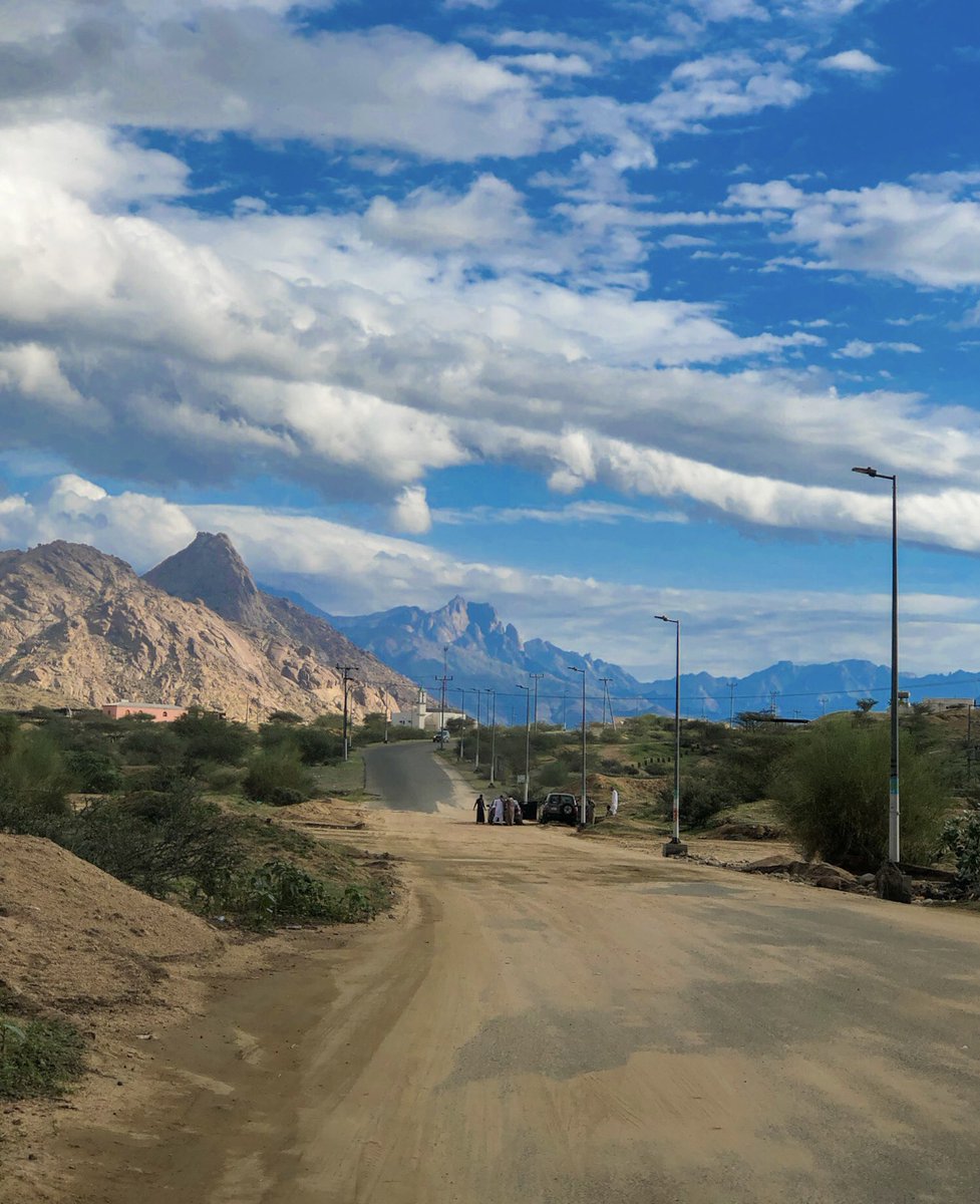 منار tweet media