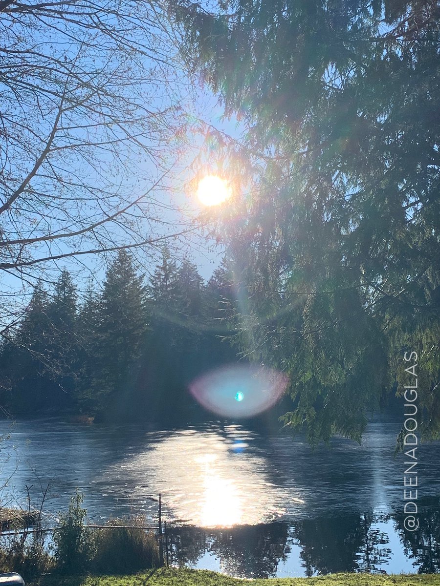 deenadouglas's tweet photo. Winter is the time for us to
slow down, take time for ourselves, and reserve our energy for spring, the time for rebirth. https://t.co/AtmzvMuXMT