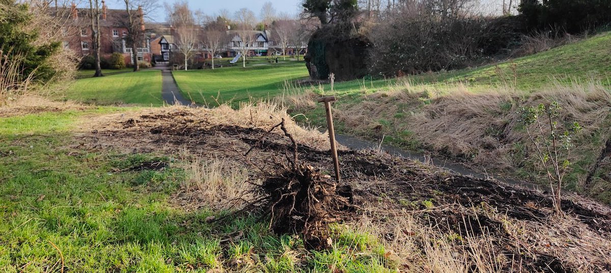 Edgar's Field Park tweet media