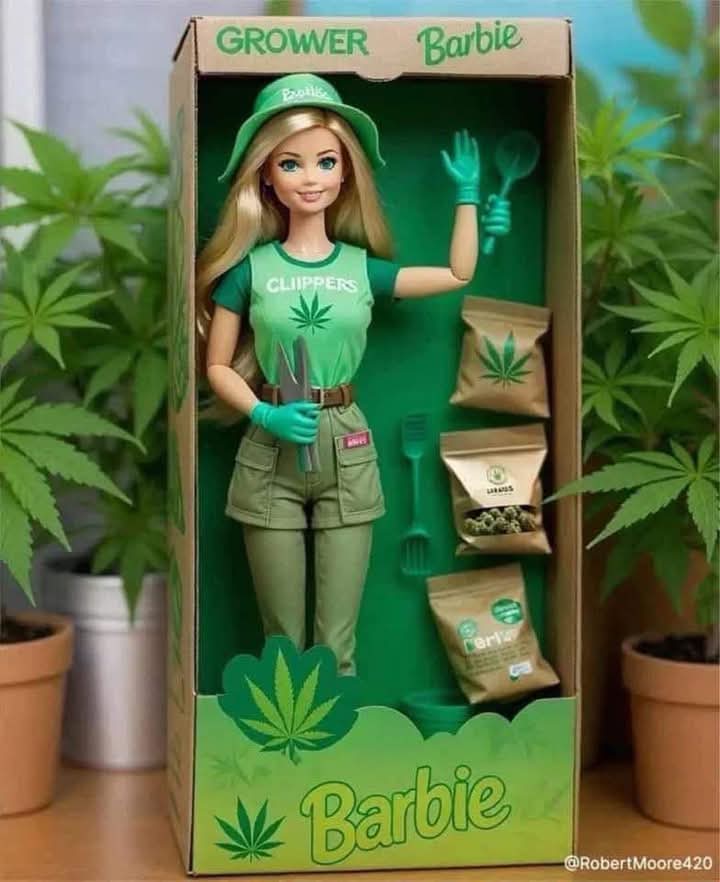 Ya pasó la navidad y el día de reyes pero nunca es tarde 😎