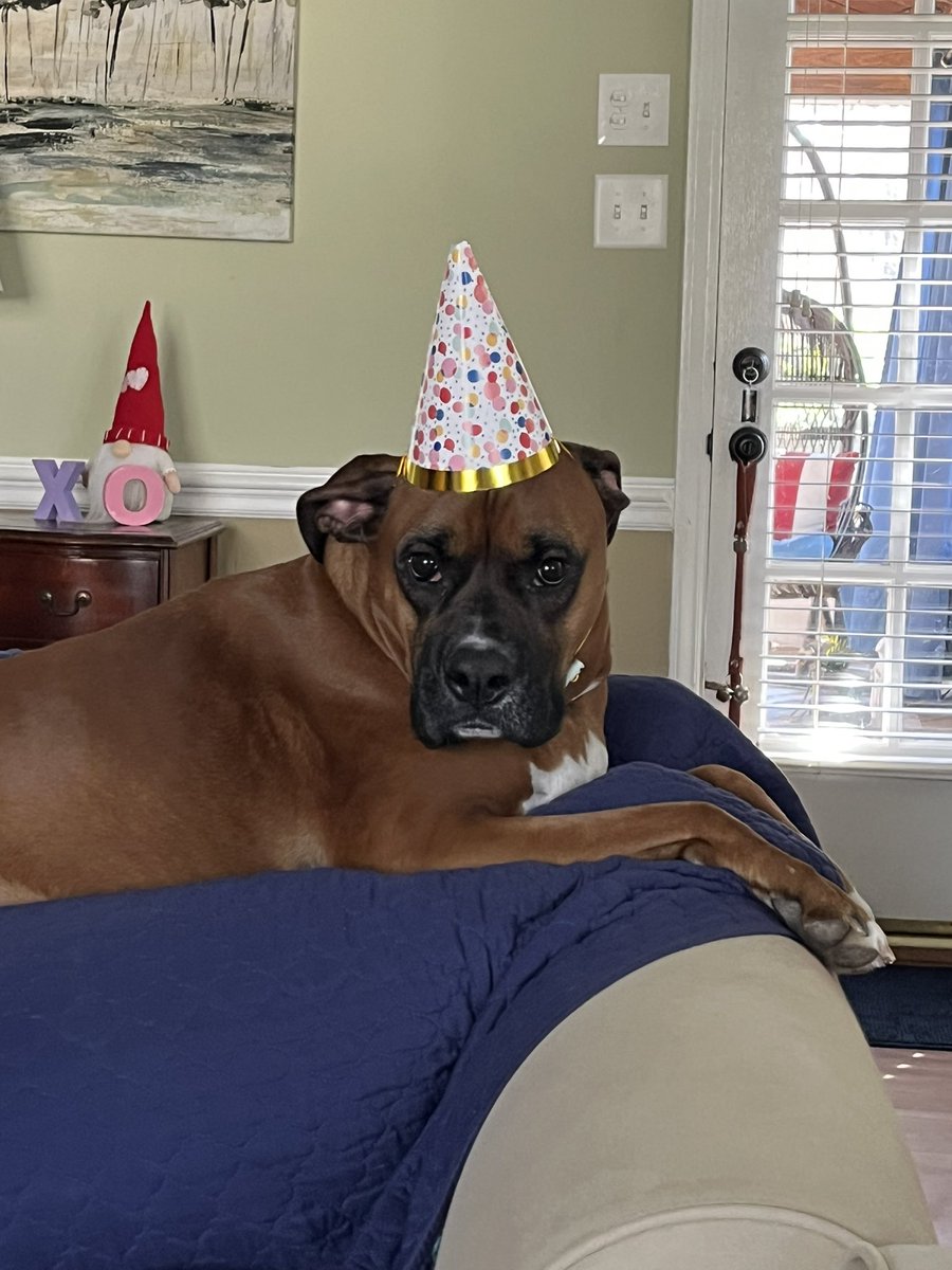 jdiggs72's tweet photo. Happy 4th birthday to this spoiled 4-legger! https://t.co/PtqSdl2W2e