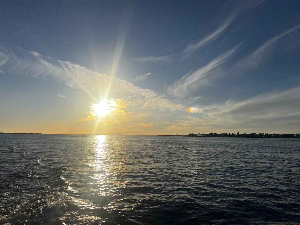 ElyseChengery's tweet image. Happy Sunday from Florida!☀️🌴
