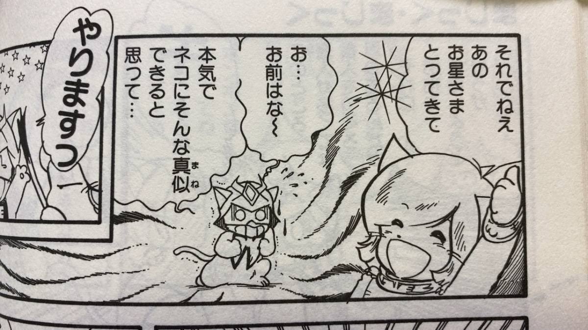 シャア猫のこと 浪花愛 絶版】『シャア猫のこと』月刊OUT11月増刊号