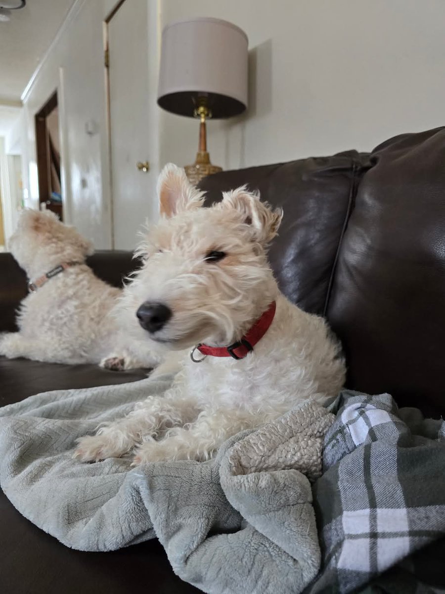 Smiling Penelope Pumpernickel