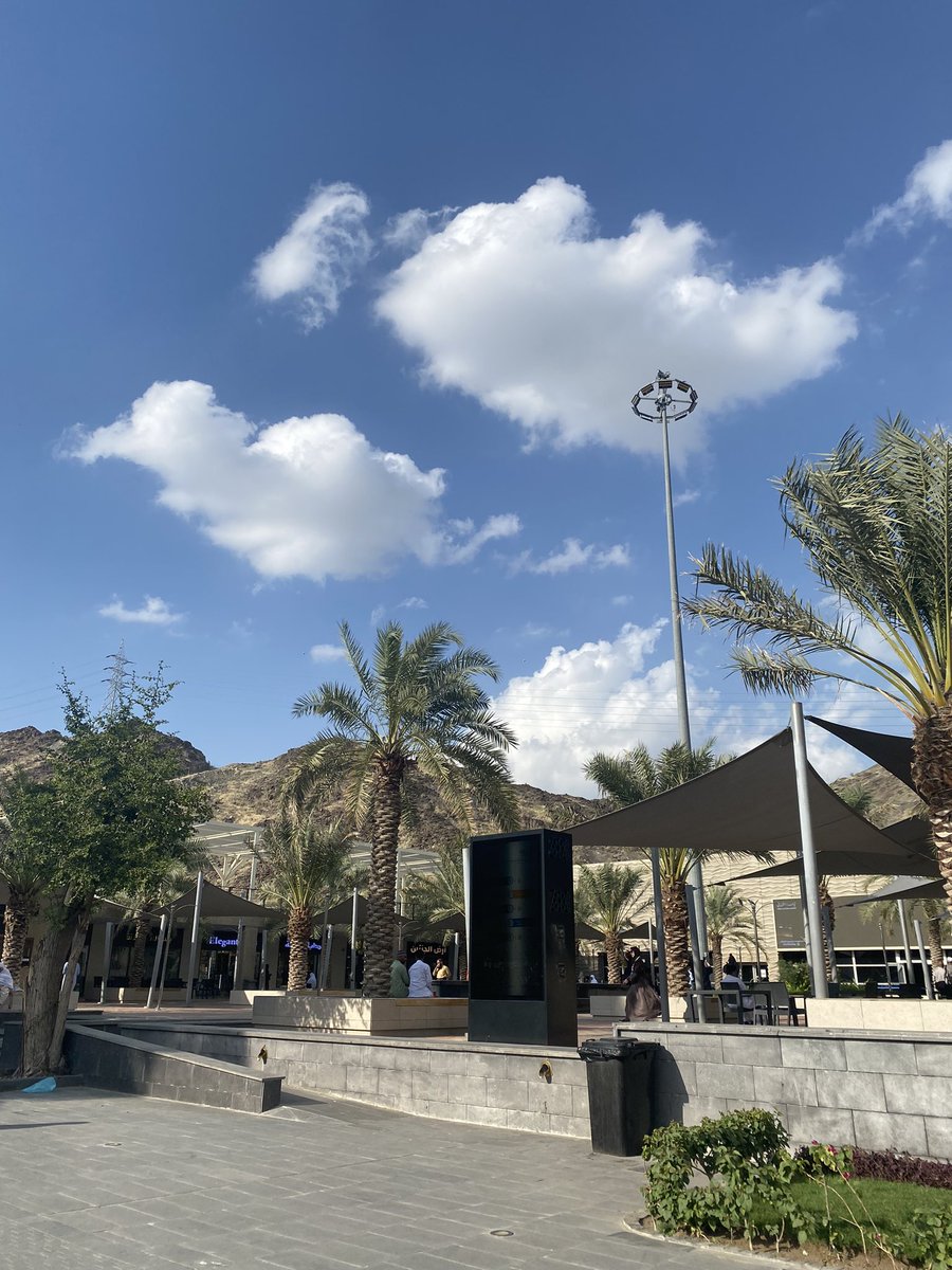 𝒏𝒂𝒅𝒊𝒏𝒆 ᥫ᭡ tweet media