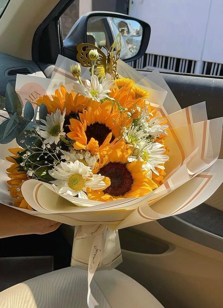 sunflowerchives's tweet photo. Hello, happiness✨ https://t.co/ihkC5XYK0F