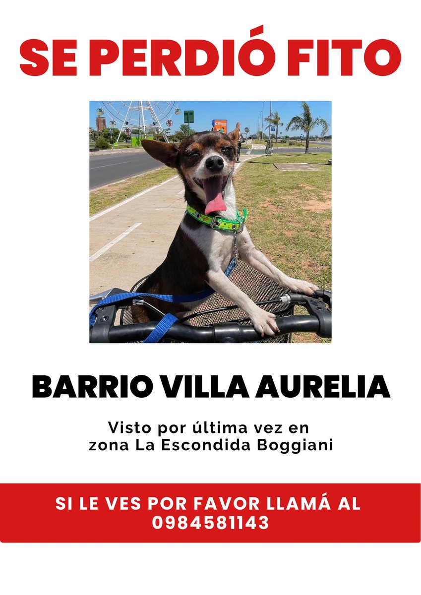 ayudanos compartiendo porfa fito no conoce el barrio 🥹🙏🏻