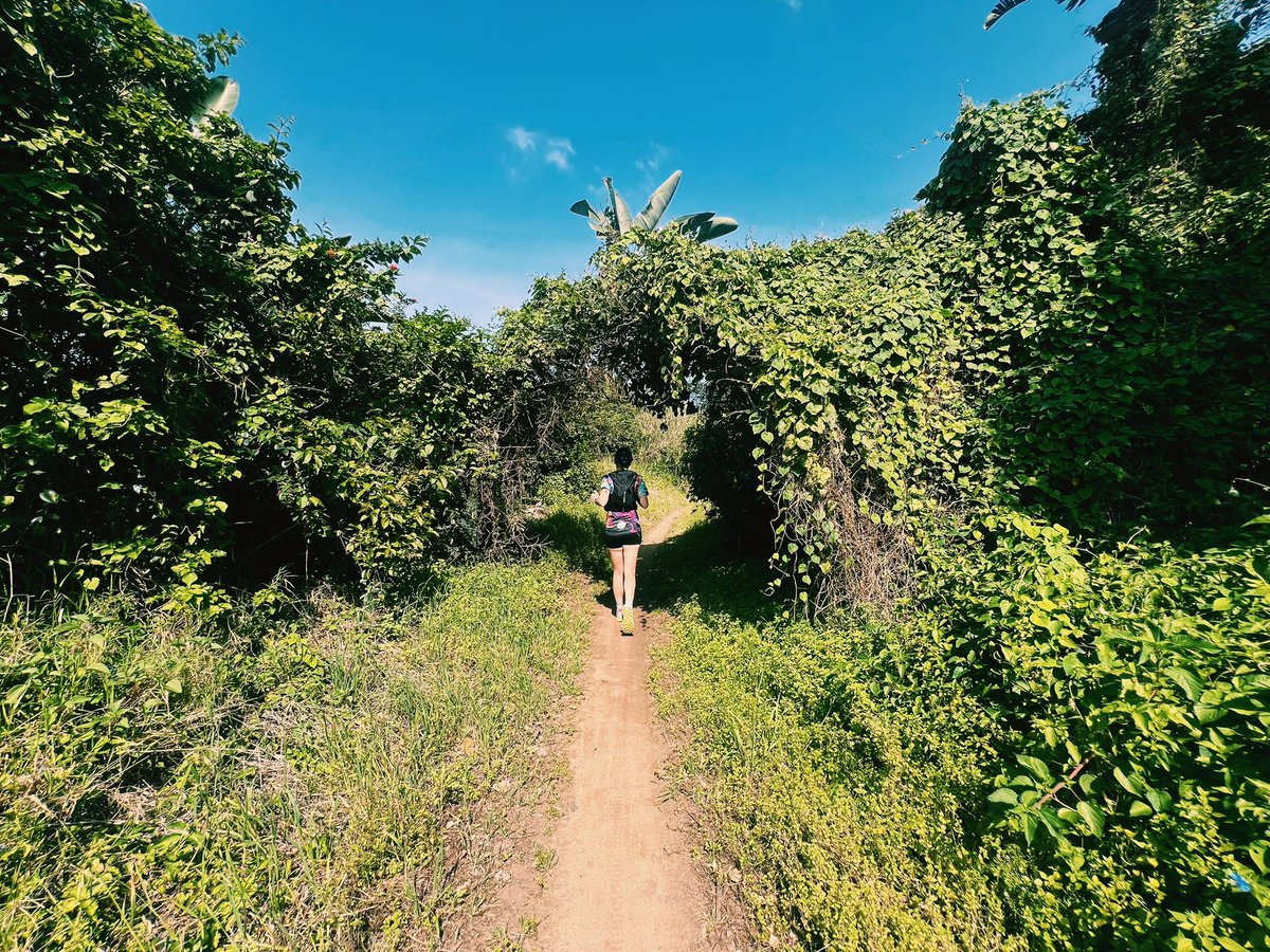 MezLikesToRun's tweet photo. We made a new friend in the trails! πππ½ββοΈππ»ββοΈπ³β°οΈποΈβοΈ
#run #running #runner #trailrunning #trailrunner #ultrarunning #ultrarunner #trails #runningmotivation #runninginspiration #runningcontent #longruns #runnersofinstagram #instarunners #gilnokiesocks #strava https://t.co/4qPD6AzQ1w