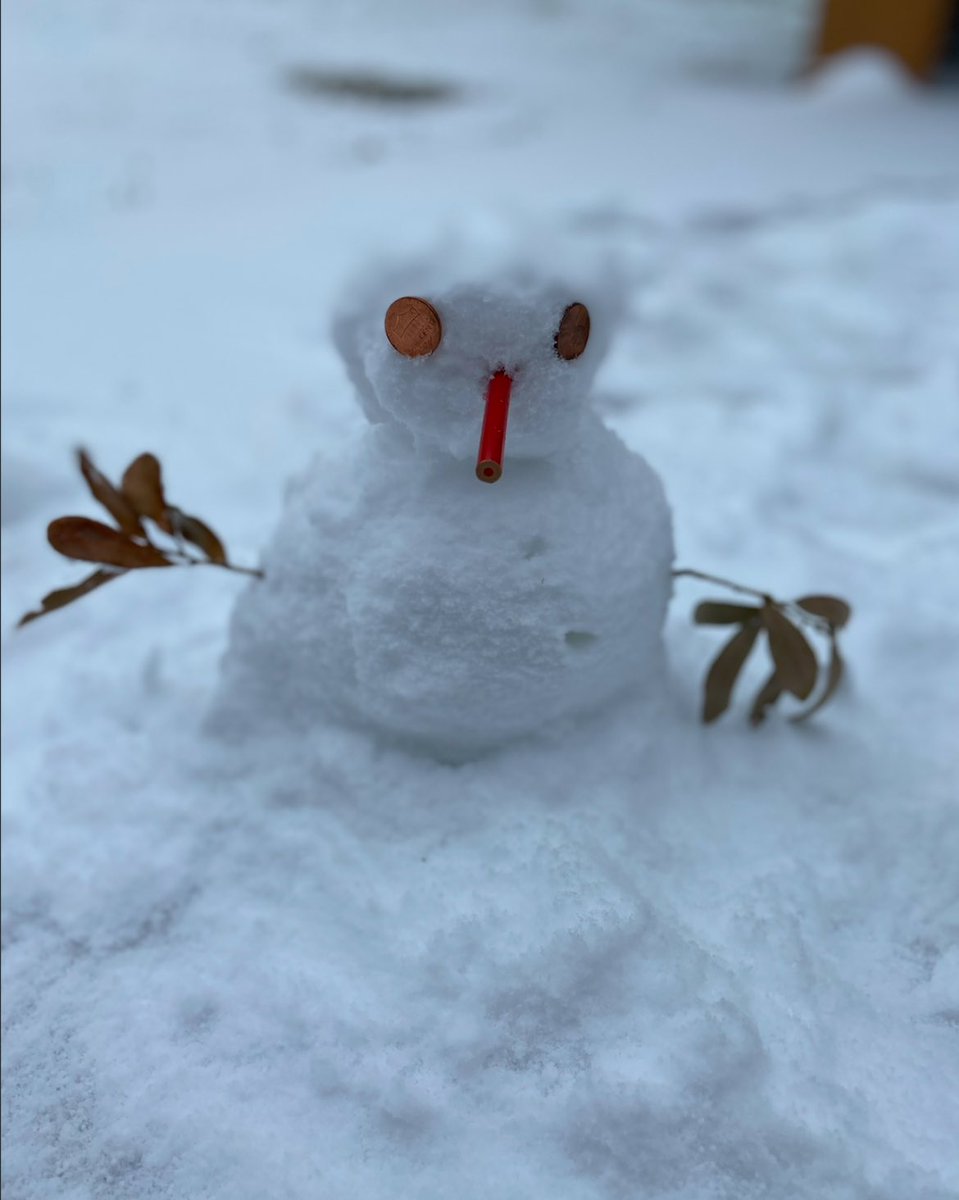 3rd grade shark, Donald, enjoying the snow! Fun times! ❄️⛄️🦈 #JSESnowDay