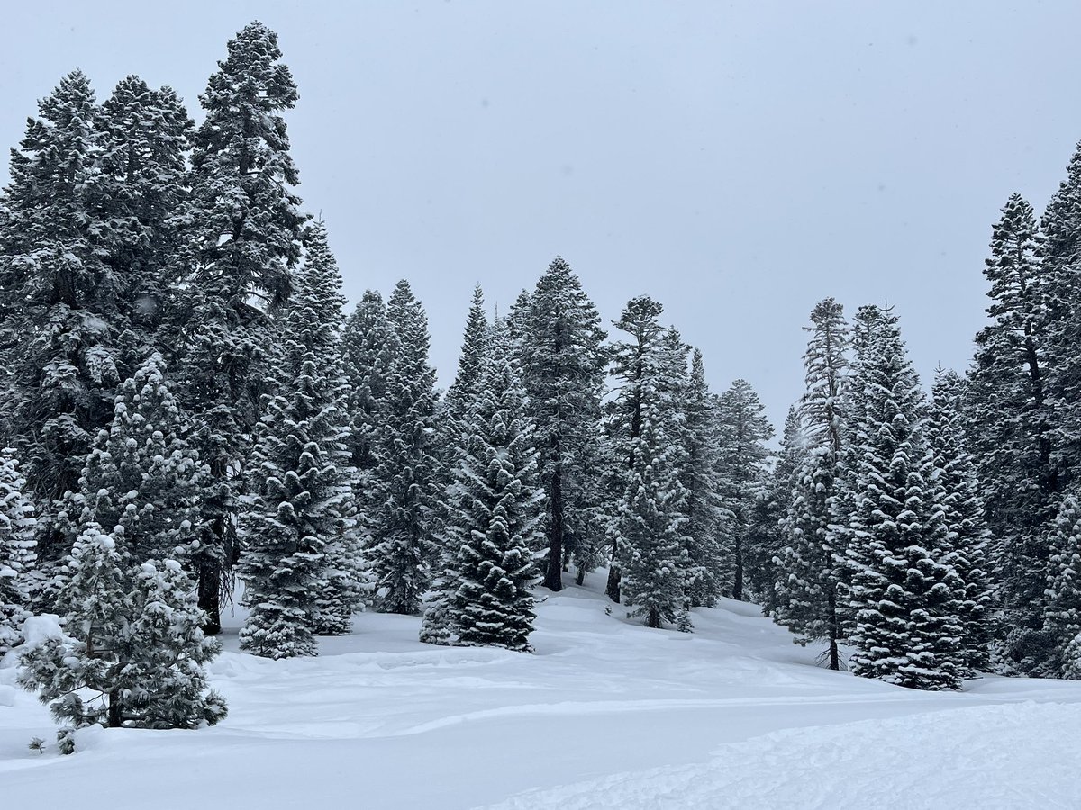 Magical snow <a href="/skytavern/">Sky Tavern</a> #WhyWeSky