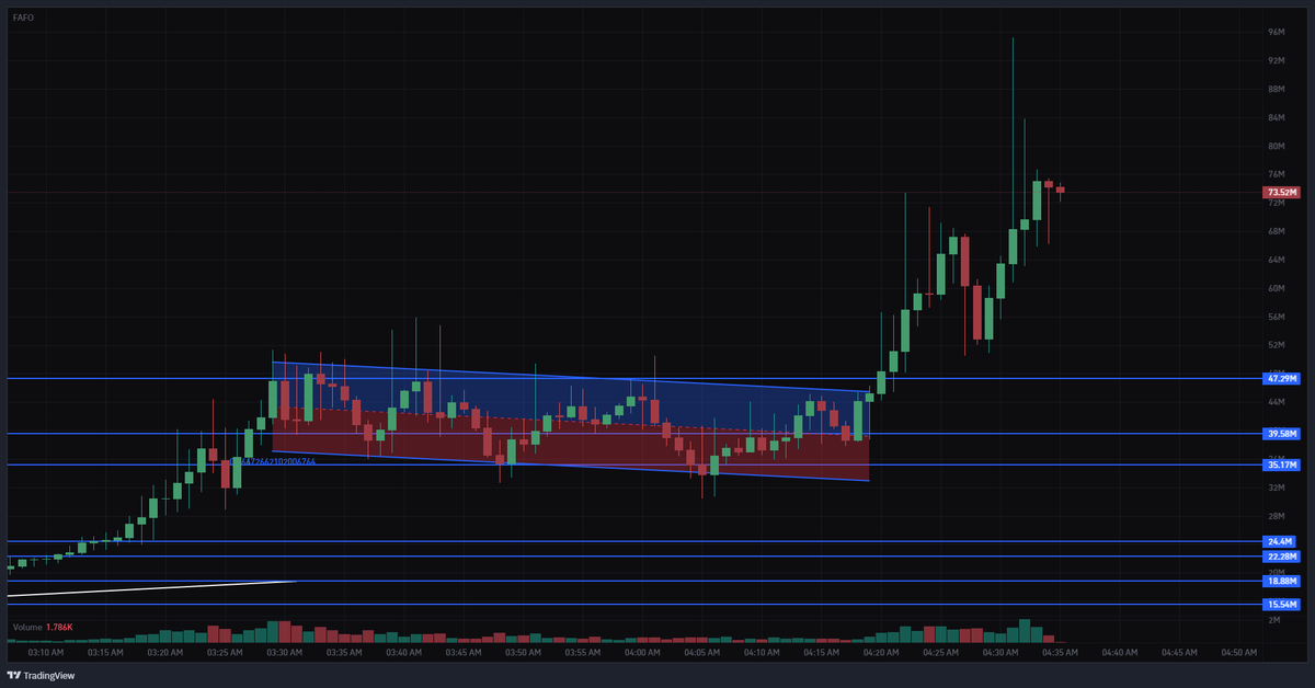 HOLY FUCK WE GOT WICKED TO 100M

$FAFO