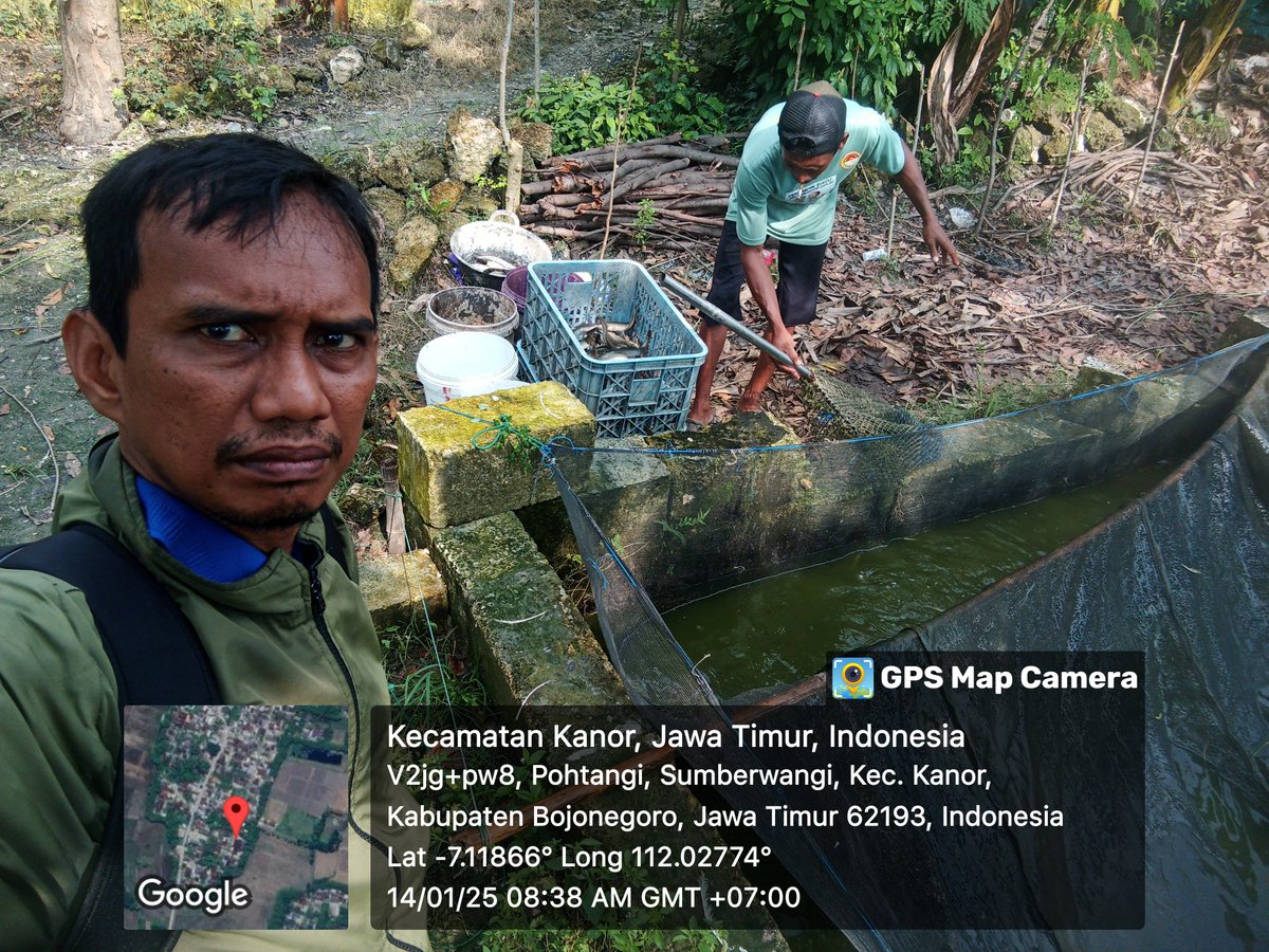 caturagungprab3's tweet photo. Selasa (14-1-2025) Catur A P, Luhkan Bojonegoro, mendampingi #panen Lele di minan Ds sumberwangi, sebanyak 207kg, kolam size 8-12 ek/kg, harga Rp. 18.700/kg
#GiatLuhkanSatminkalBWI
#Bnegoro 
@puslatluhkp
@bppp_banyuwangi
@brsdm_kp https://t.co/OC9zwgqT6E