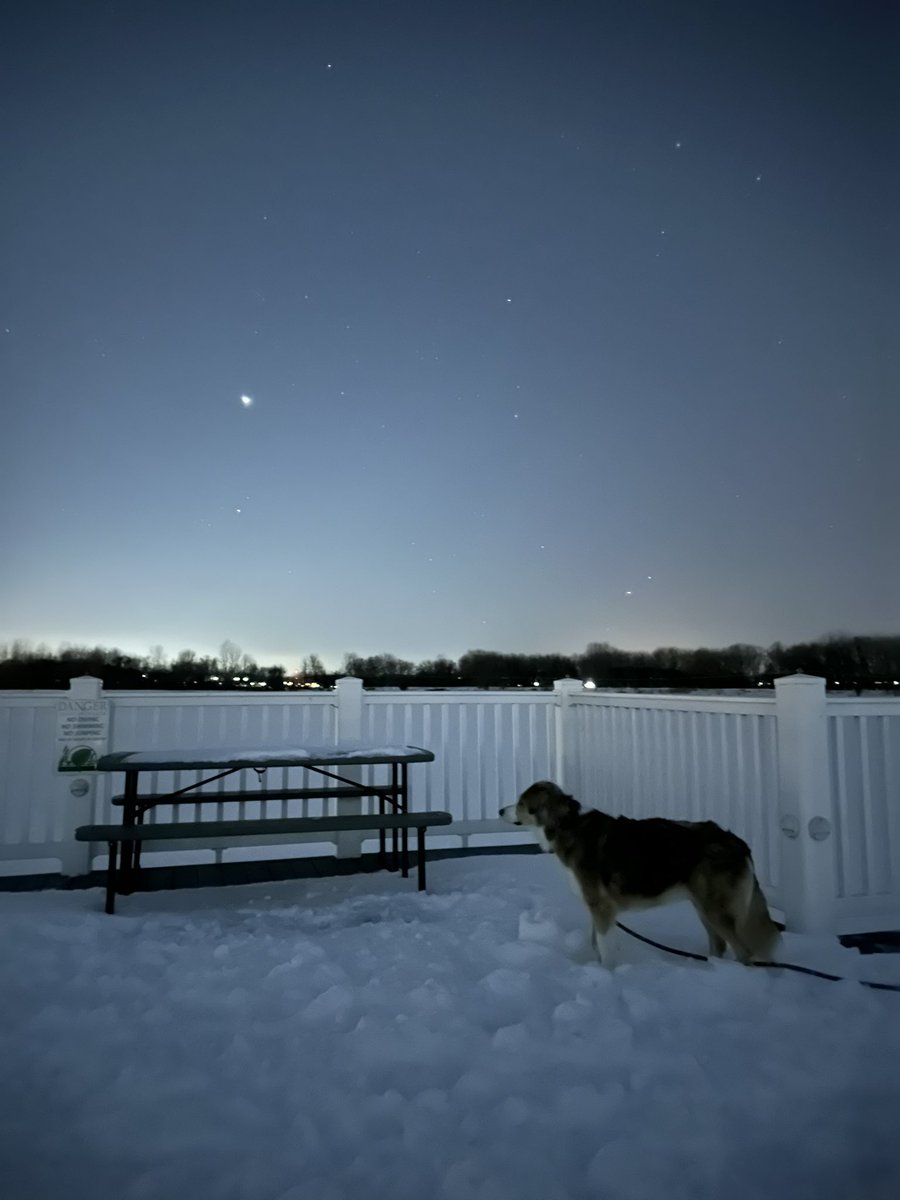 Venus ✨ shining bright on the western horizon this evening 🌃 

#venus #space #planets #michigan