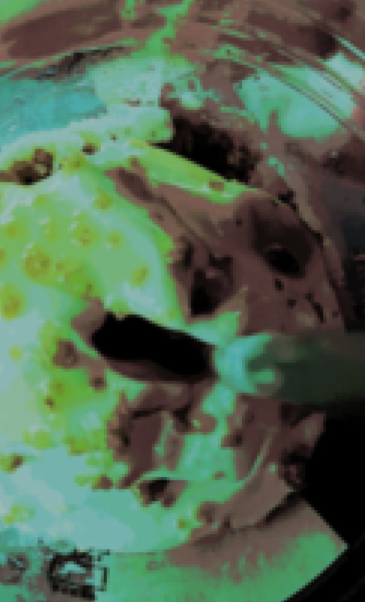 BLUPOTHEAD's tweet photo. IT IS SLUUUDGE SUNDAAYYYY‼️‼️‼️‼️‼️‼️‼️‼️‼️ #ILOVESLUDGE #SLUDGESUNDAY https://t.co/El27bI9t3L