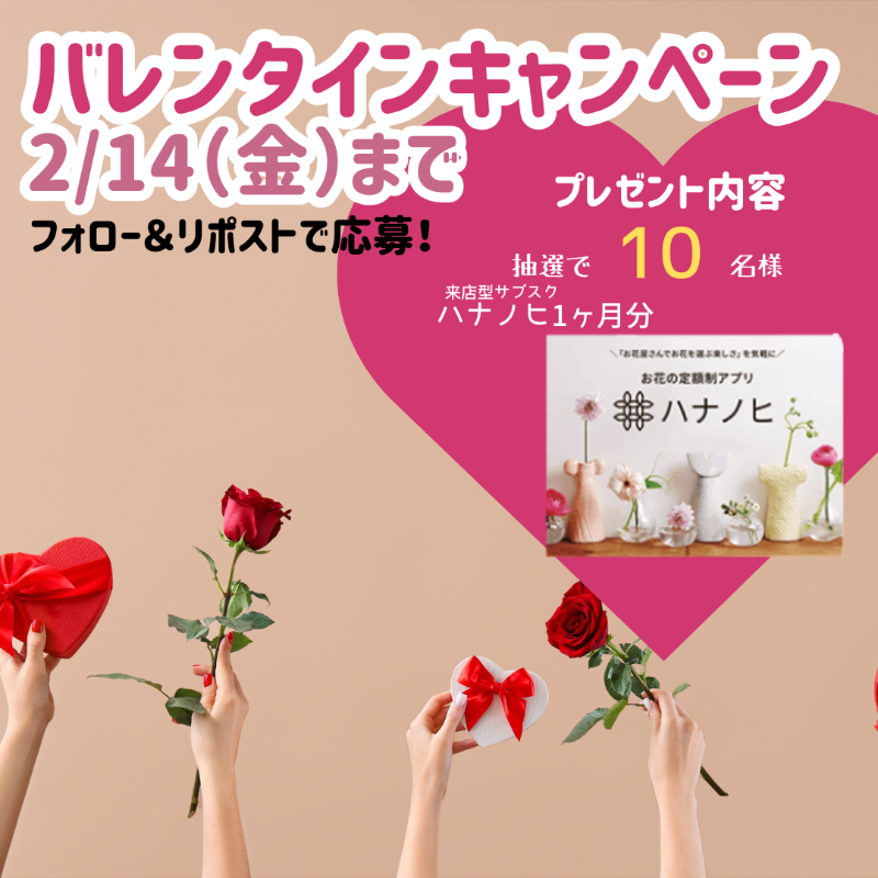 eflora_official's tweet photo. /／
 #バレンタイン はお花で愛を伝えよう❣
\＼

💝🌹💝🌹💝🌹
#3LOVESTORIES 
フォロー＆リポストキャンペーン
💝🌹💝🌹💝🌹

1⃣ @eflora_official をフォロー✨
2⃣ この投稿をリポスト‼
⏰ 2025/2/14 23:59まで👌

抽選でお花のサブスク「ハナノヒ」1ヶ月分が当たる🎁
#イーフローラ #キャンペーン