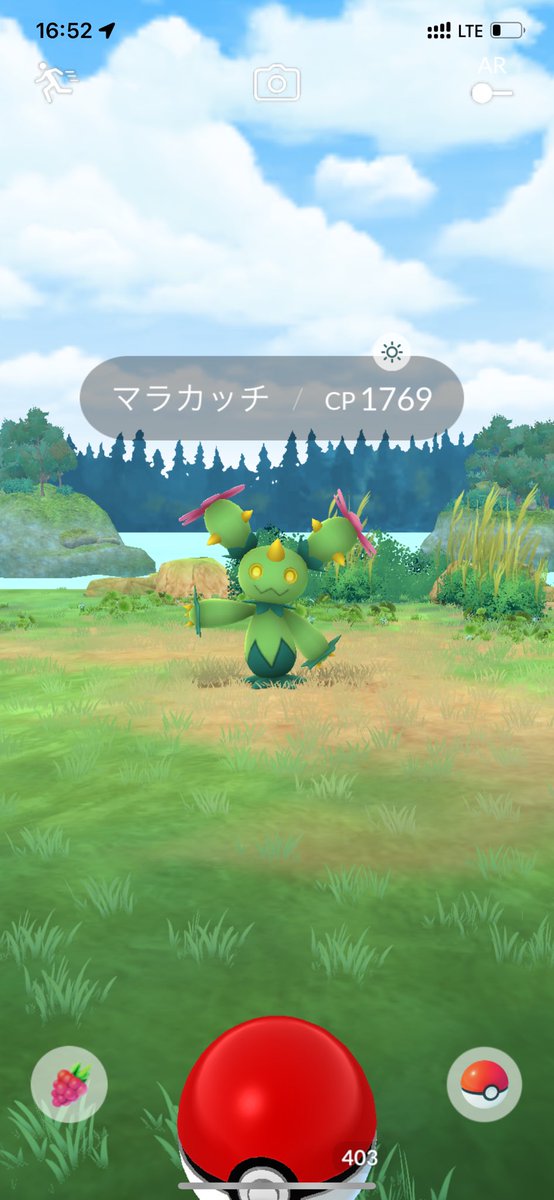 cyoemonsan's tweet photo. WDW産マラカッチ🇺🇸

#ポケモンgo https://t.co/Wu4JNfSaEA
