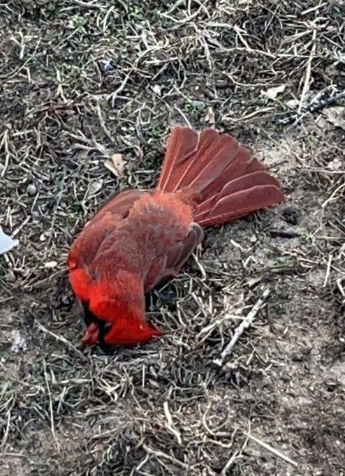 Someone check on these guys