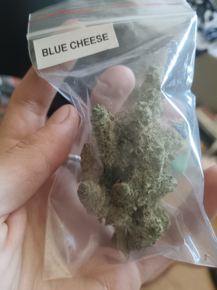 Senpai Genetics (@senpaigenetics) on Twitter photo 