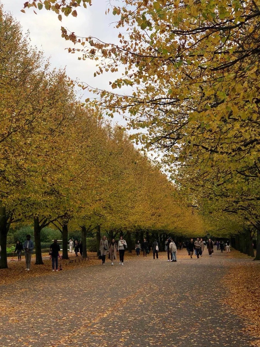 잎이 지고 있습니다. 가을이 부릅니다.
#가을폭포 #런던