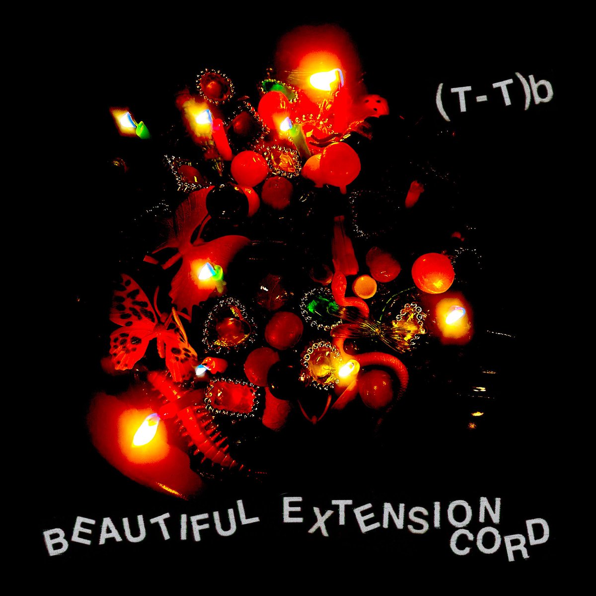 (T-T)b <a href="/ttbchiptunes/">(T-T)b</a>はアルバム"Beautiful Extension Cord"を4月4日にリリースすると発表しました
linktr.ee/ttbchiptunes