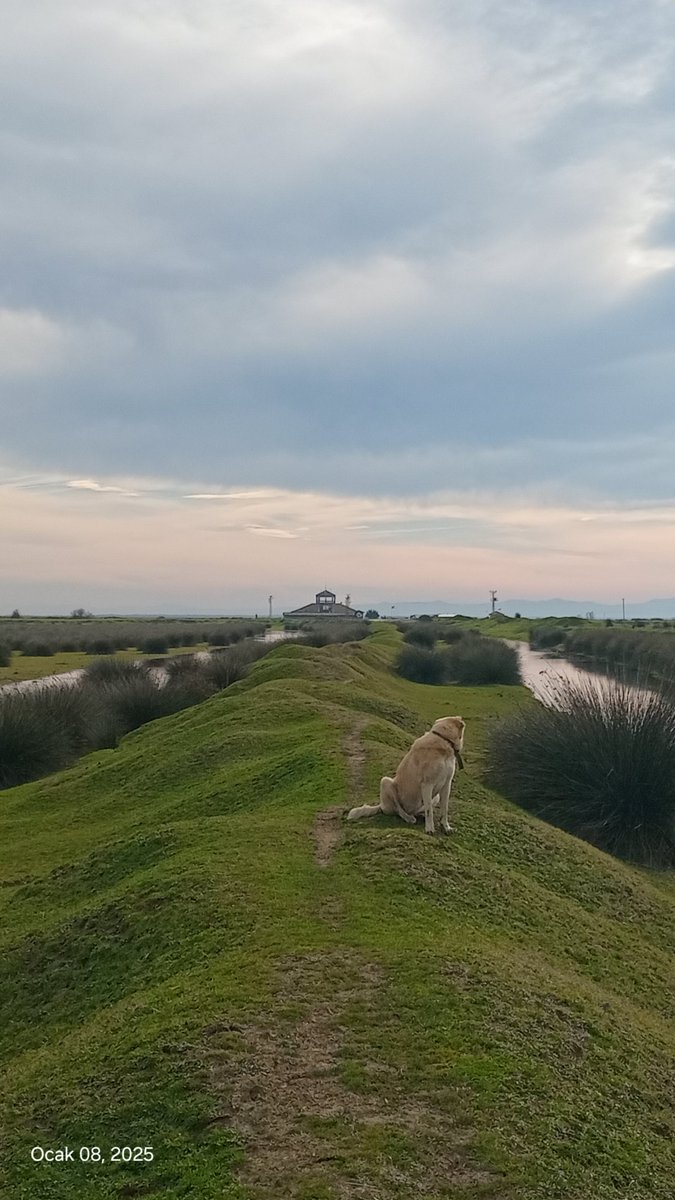 Kızılırmak  Deltası_SAMSUN_
