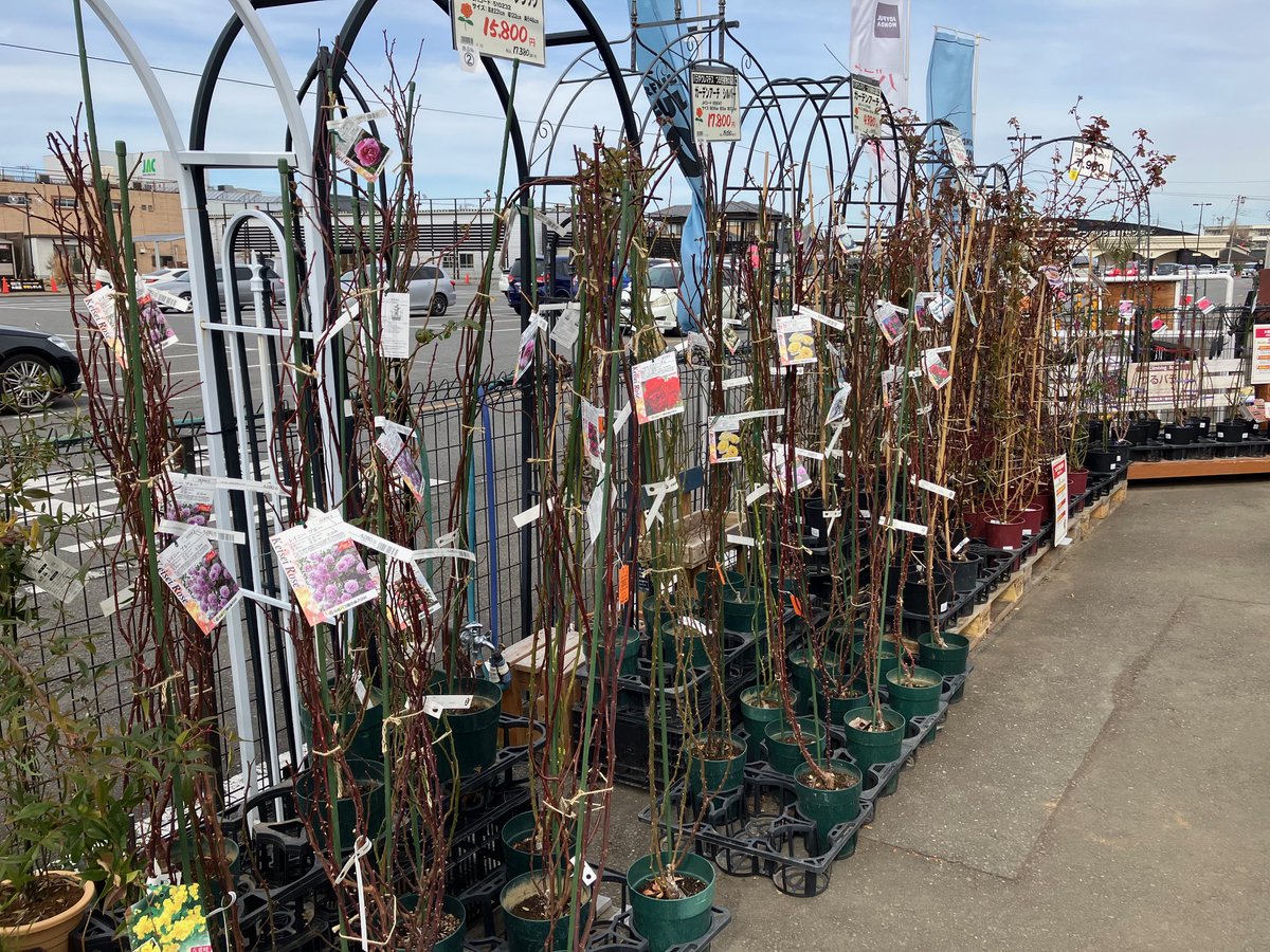 ワンダショ まとめ売り バラ売り可能 ワンダショ まとめ売り バラ売り⭕️ - メルカリ