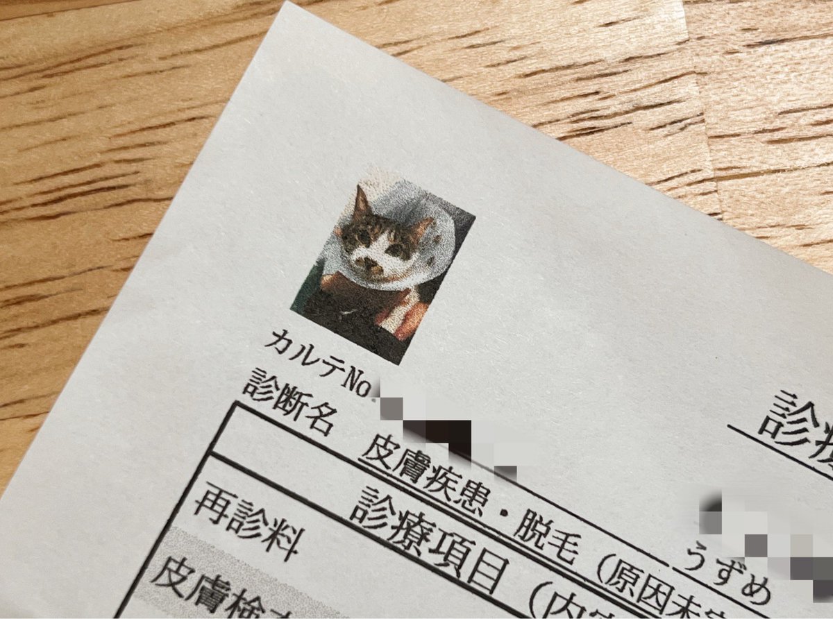 みんな大好き動物病院の明細書の写真 うちもこれのデータほしいw