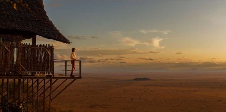 J_essT's tweet photo. No one has mentioned it yet but mental health plays a crucial part in gaining healthy body weight. Going on trips does wonders in bettering your mental health. Book a trip with @Gem_Expeditions, go sit on the beach and listen to waves or watch animals on safaris. Ease your mind https://t.co/WXQfjMF8Ba