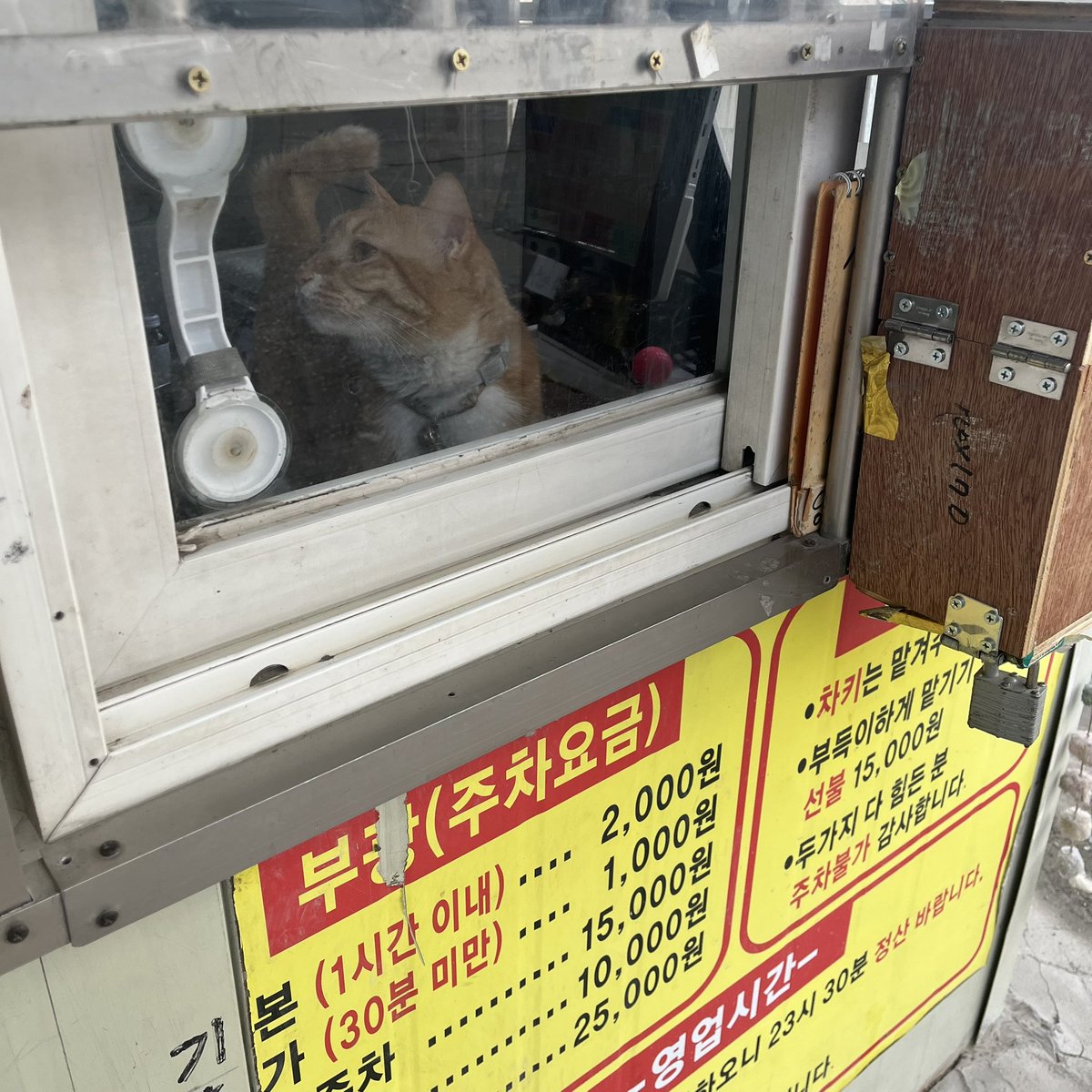 울동네 주차장 사장님;;