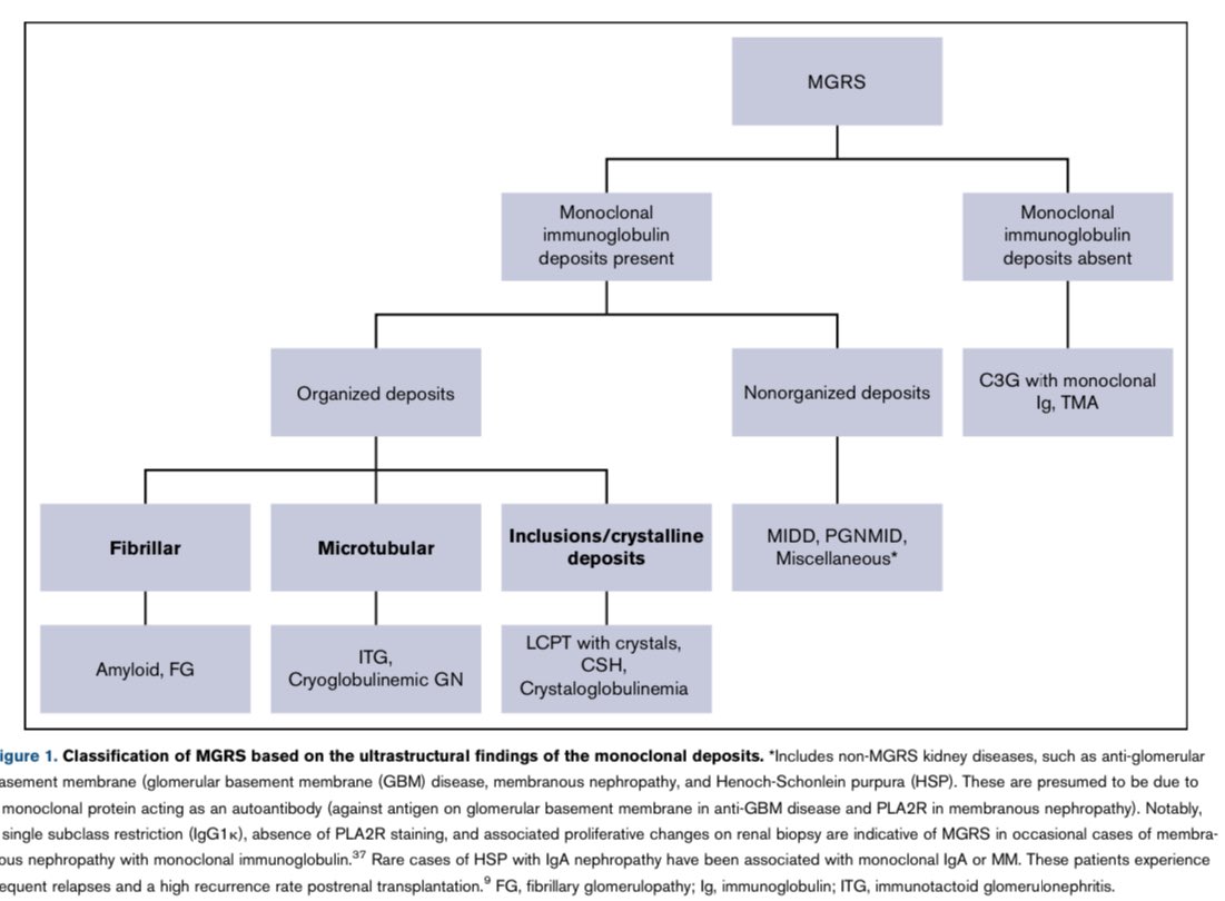 hardik4u24's tweet photo. 1/ 📚Let’s explore #MGRS (Monoclonal Gammopathy of Renal Significance)-an underrecognized yet key cause of #AKI & #CKD, uniting nephrology🫘 & hematology! 🩺🩸
Jain et al. @BloodAdvances 2022
🆓 🔗https://t.co/J0bGHIGU0F
#LCPT #MIDD #Amyloid #Hematology #Nephrology #MedTwitter https://t.co/v5zz2aTiEO