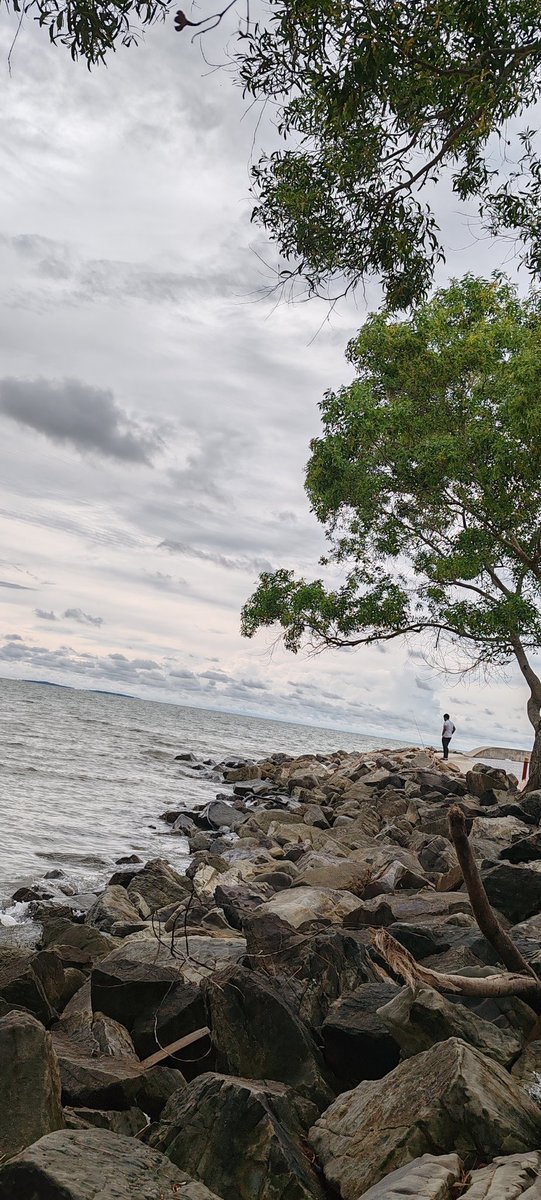 sambals69's tweet image. Seorang