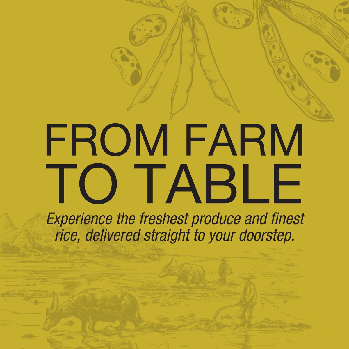 From the farm to your table, experience the freshest produce and finest rice, delivered straight to your doorstep! 🥳

#AkilaFoods #AkilaMoments #AkilaSA #AkilaFoodsSA #Foodie #AkilaValues #CustomerFirst #Sustainability #Teamwork