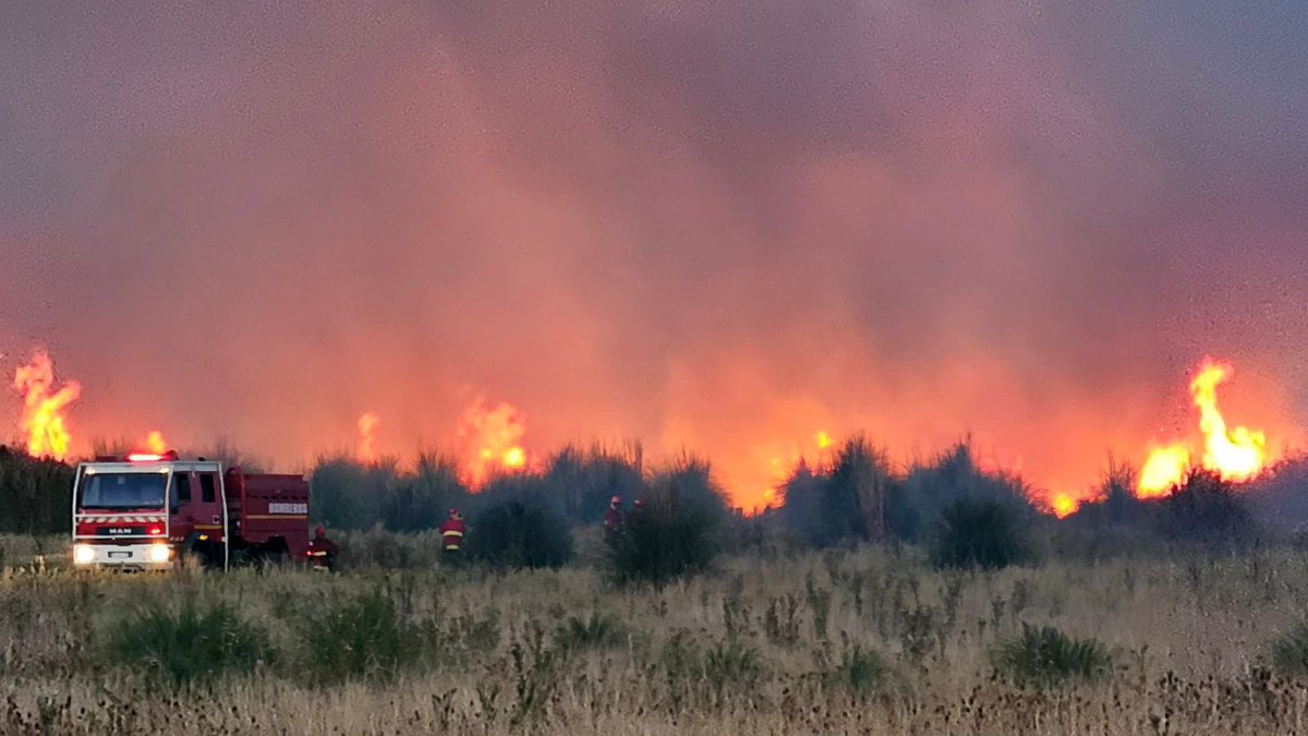 Enzo034185's tweet photo. Orgullo de los bomberos voluntarios de bragado , Más de 12 horas de trabajo en un incendio forestal con más de 35 grados. H E R O E S 🚨👨🏻‍🚒
#heroes #bomberos #adrenalina #vocacion https://t.co/6zMlZq4OVq