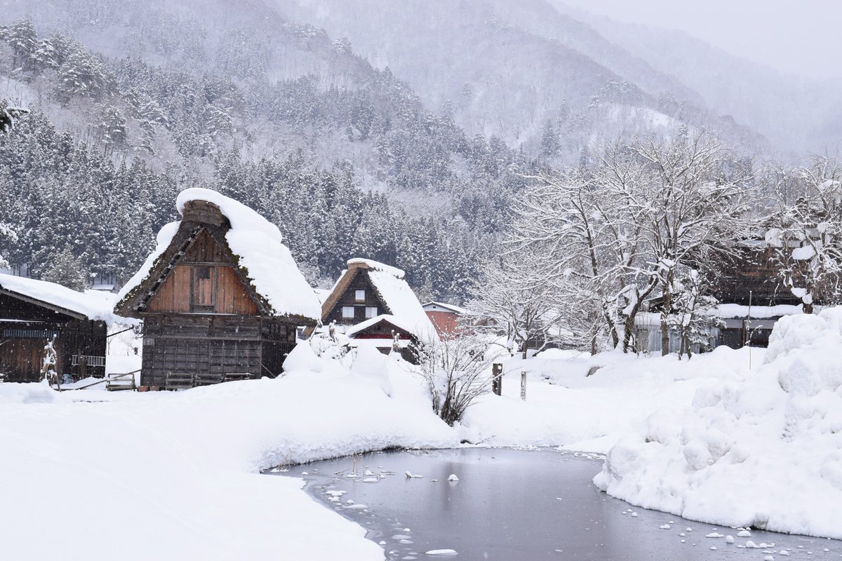 PopJapan2015's tweet photo. Shirakawa, a historic village in Gifu Prefecture, Japan, is renowned for its traditional gassho-zukuri farmhouses, especially in winter when it transforms into a picturesque snow-covered wonderland. 

Photo credited to 雷太

#japan #ShirakawaVillage https://t.co/WEcJmPibTt