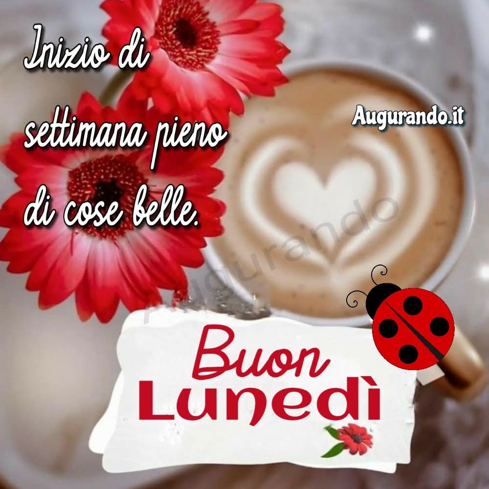 Francesco Anastasi tweet media