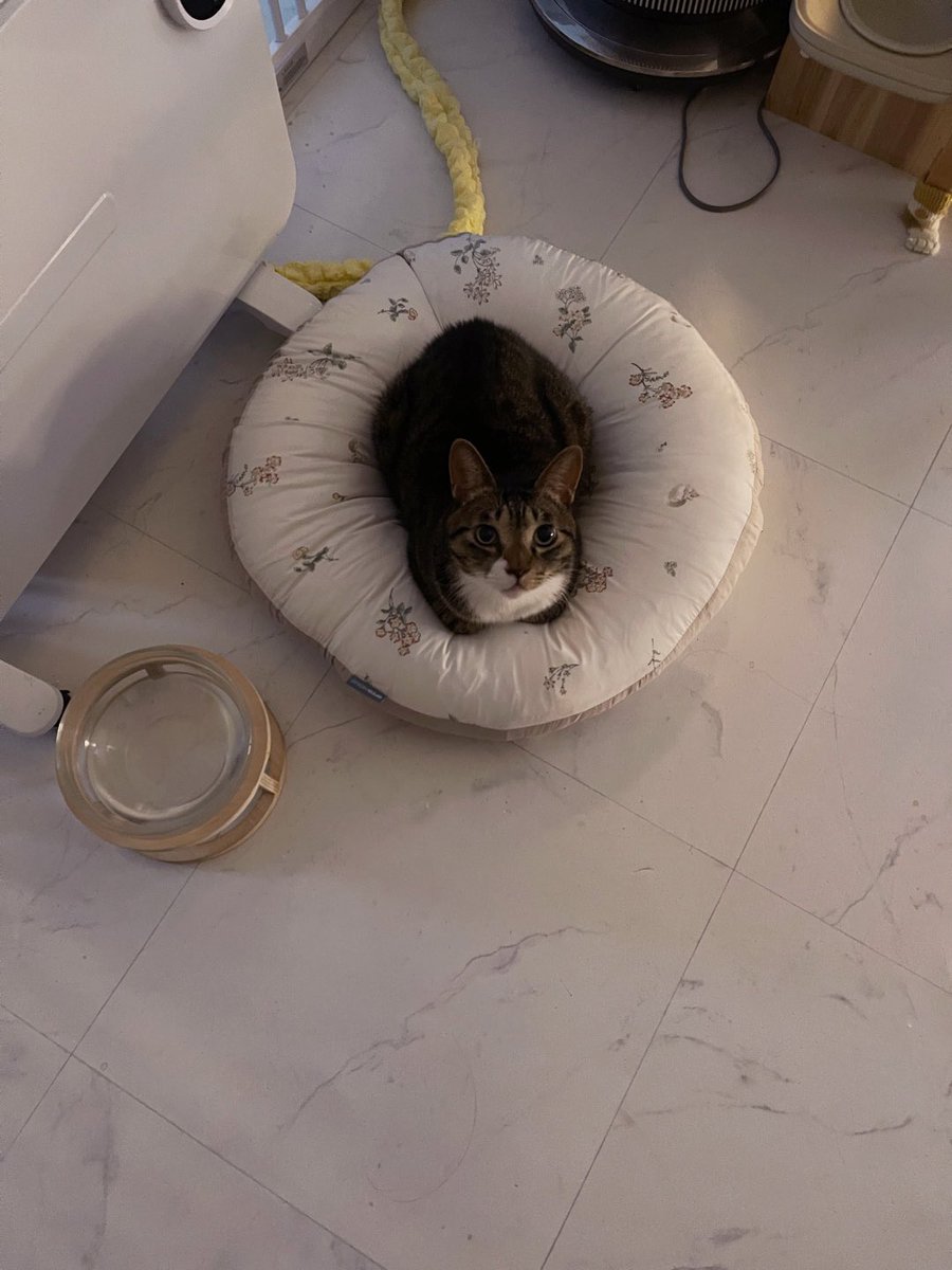 밭두밭두 설날은~