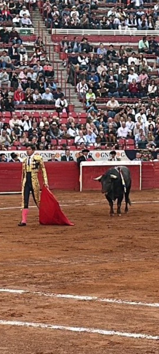 joshele7's tweet photo. @toros_del_chepe #CantaRecio de #DeLaMora indigno de ser lidiado en @LaPlazaMexico, los cronistas de @UnicableOficial, @Beto_Murrieta y @memo_leal, no han sido objetivos al no mencionar la pésima presentación de ése animal. https://t.co/VYoVY6s2JF