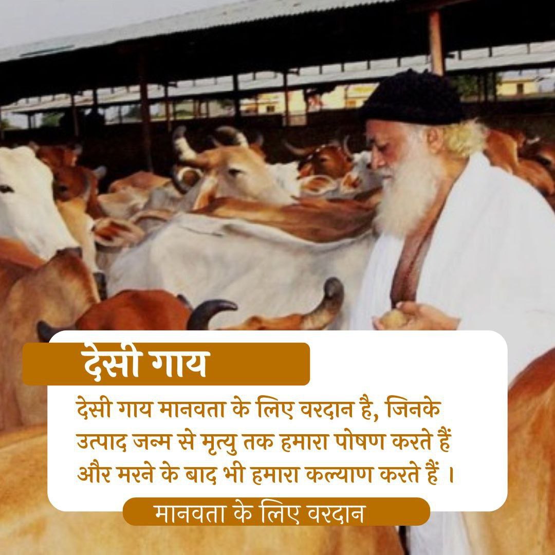 <a href="/YuwaSewaSangh/">Yuwa Sewa Sangh Ashram Official</a> <a href="/SanatanArmy_/">सनातनी सेना 🚩</a> <a href="/SanatnEktaMunch/">स्व चिंतन.....</a> <a href="/narendramodi/">Narendra Modi</a> <a href="/nitin_gadkari/">Nitin Gadkari</a> <a href="/rajnathsingh/">Rajnath Singh</a> <a href="/AmitShah/">Amit Shah</a> <a href="/BJP4India/">BJP</a> <a href="/myogiadityanath/">Yogi Adityanath</a> <a href="/VHPDigital/">Vishva Hindu Parishad -VHP</a> <a href="/epanchjanya/">Panchjanya</a> #GauRaksha धर्म रक्षक Sant Shri Asharamji Bapu जी अपनी सभी गौशालाओं में गौ माता का ध्यान अपनी माता समान रखते हैं बापूजी सत्संग में कहते हैं कि जो व्यक्ति गाय की सेवा करता है वह अपने जीवन में सुख शांति और समृद्धि प्राप्त करता है
Importance Of Desi Cow बहुत महत्व है गौ माता का