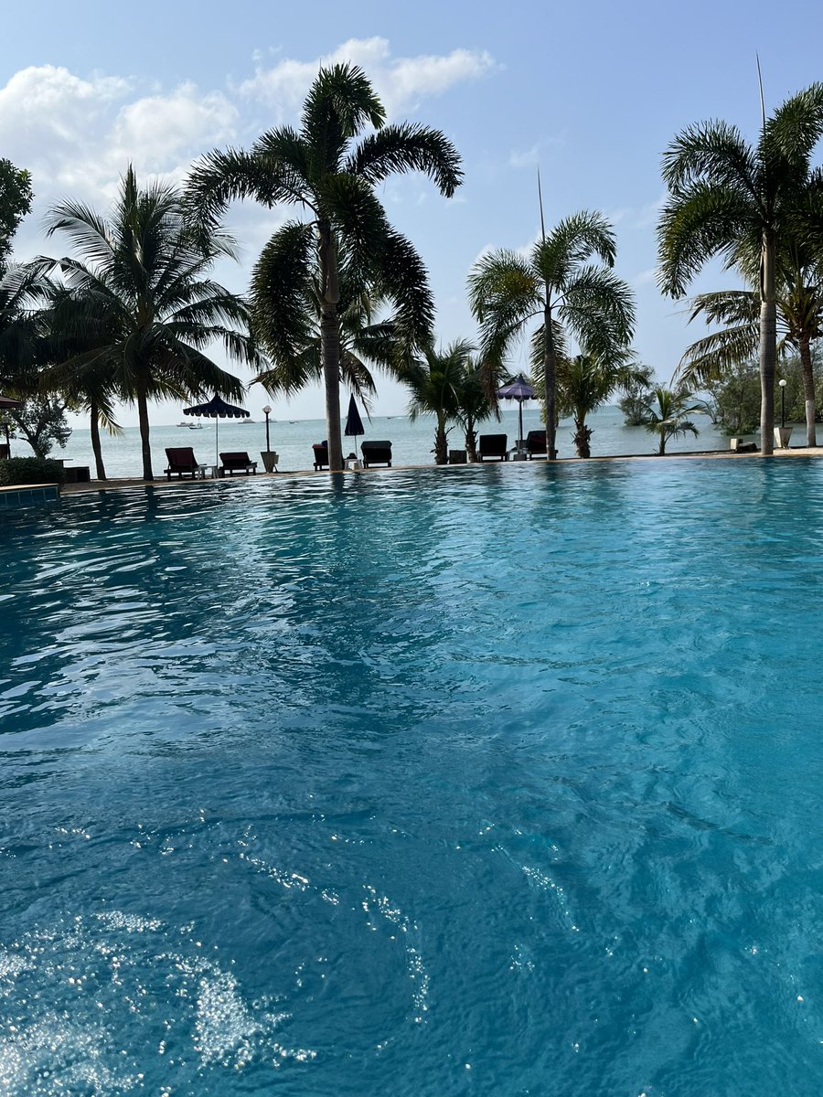 Jomininini's tweet photo. One swimming pool a day https://t.co/zCMzDHHO2z