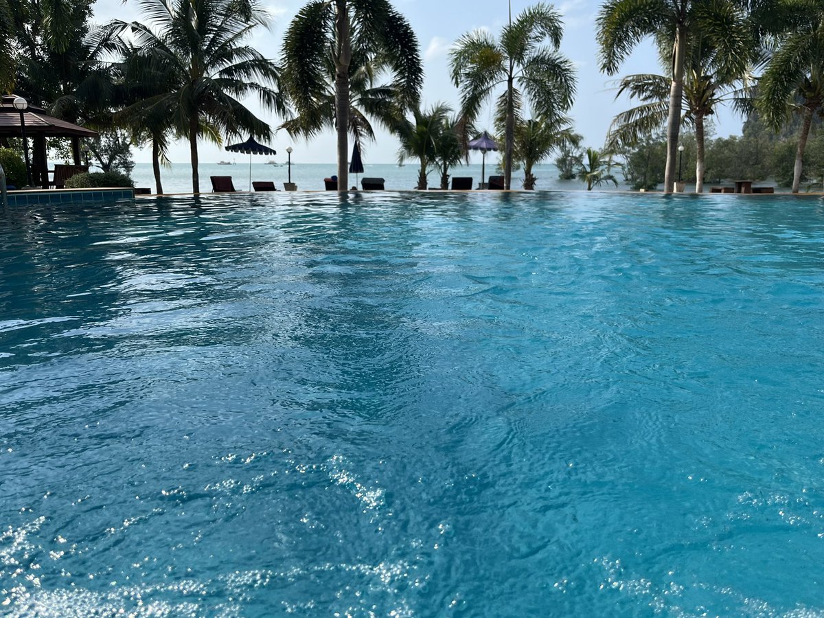 Jomininini's tweet photo. One swimming pool a day https://t.co/zCMzDHHO2z