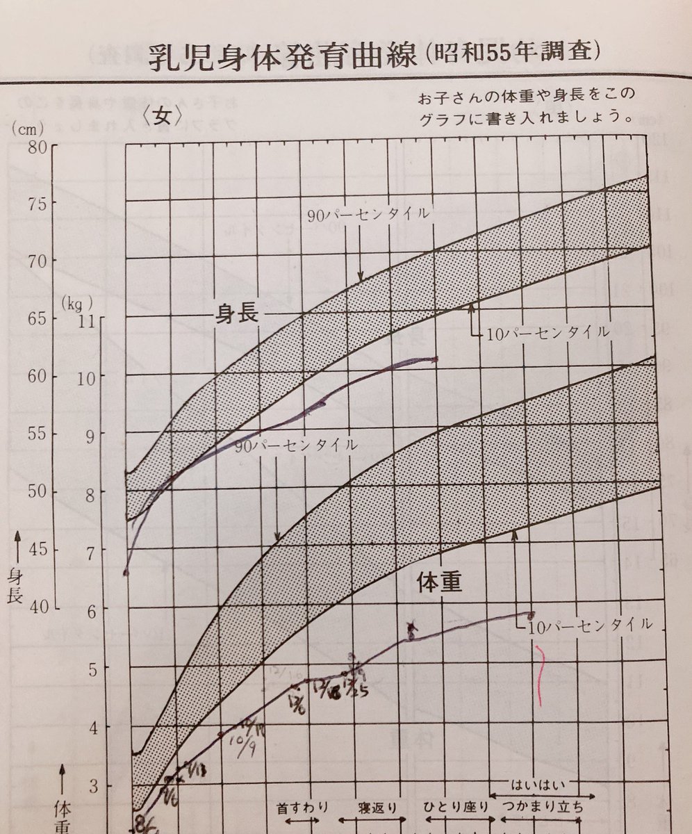 ぽんぽん (@ponponpipi62) / Posts / X