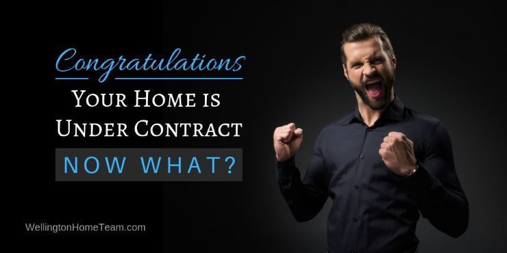 WellingtonHomez's tweet photo. Your Home is Under Contract, Now What? Checklist for Sellers via @wellingtonhomez #realestate https://t.co/YHOSA8gD5h https://t.co/0f5GE5yJcu